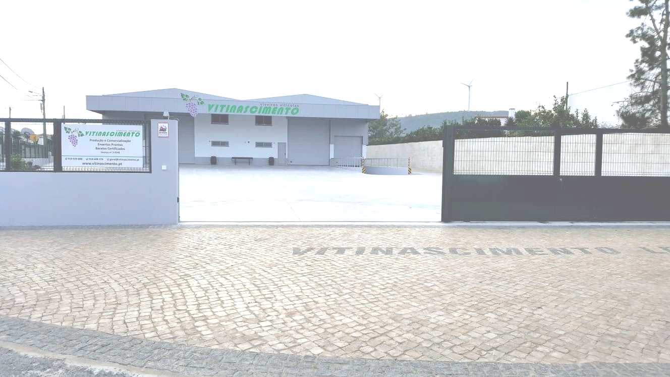 Nova Decoração