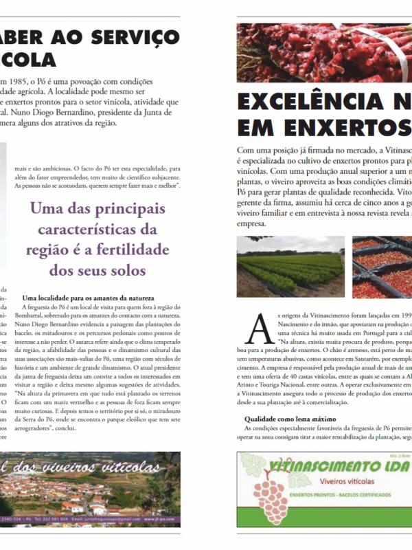 Vitinascimento na Business Portugal